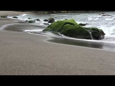 Sea waves & beach drone video