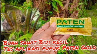 aplikasi pupuk Paten Gold pada sawit biji kecil @PNSNagan