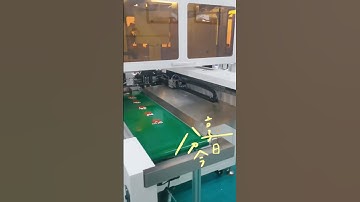 Fully Automatic Terminal Crimping and Housing Insertion Machine 2