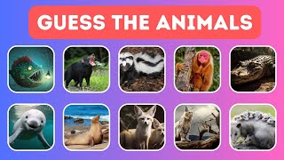 Can You Guess the Impossible Animal Challenge?