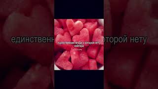  подпишись торт elbruto активвернись кондитер активпж юмор рецепт мем icecream