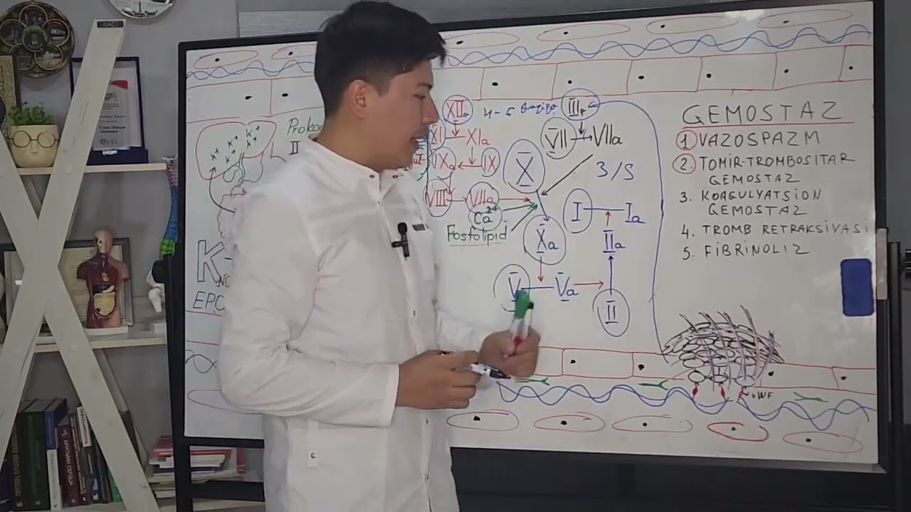Koagulyatsion gemostaz. Ma