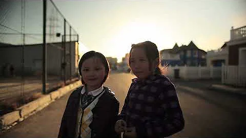 The New Sustainability Champions