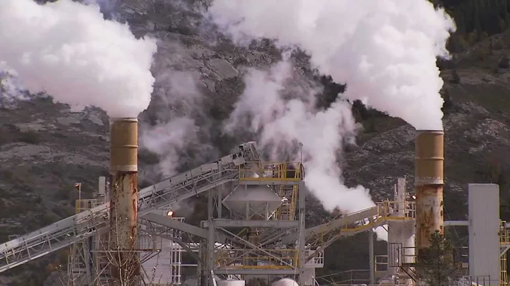 The New Sustainability Champions