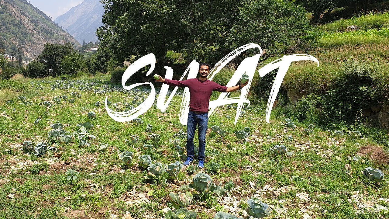 The Road to Swat | Swat Valley | Bahrain | Kalam | PAKISTAN