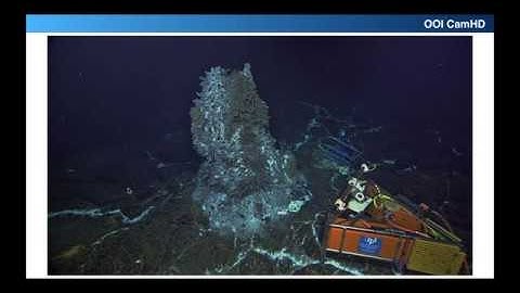 2018-06-14 ESIP Tech Dive: "Analysis of Massive Underwater Video Data in the Cloud using Pangeo"