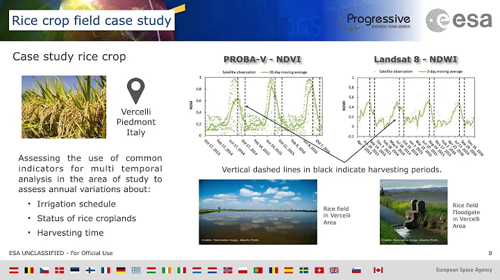 ID 185 Evaluation of multi source Earth Observation data exploitation for monitoring intensive crop - DayDayNews