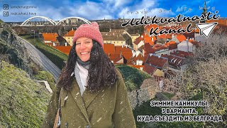видео: Жизнь в Сербии | Путешествия из Белграда: Петроварадин, Сремски-Карловци, Земун картинка: Жизнь в Сербии | Путешествия из Белграда: Петроварадин, Сремски-Карловци, Земун