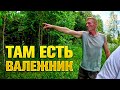 ГОЛОВОРЕЗ ПОКАЗАЛ ГДЕ ЕСТЬ ВАЛЕЖНИК. ПРОЕЗЖАЕМ БОЛЬШУЮ СВАЛКУ.