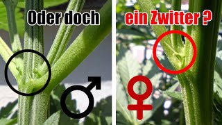 Anzeichen frühzeitig erkennen