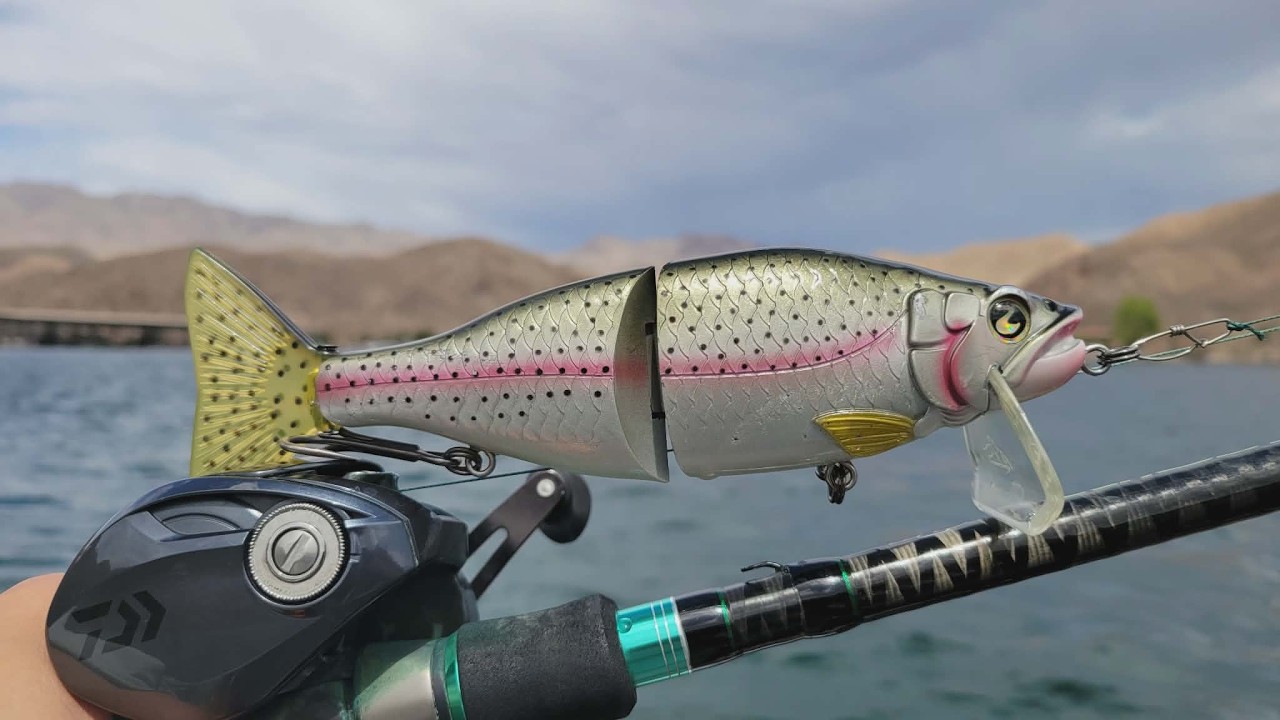 Tactical Wake vs Willow Beach Stripers