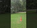 Video of Coe Landing Campground, FL from Kai Z.