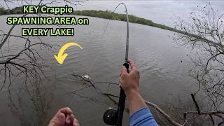 High Percentage Crappie Spawn LOCATION that MOST lakes HAVE! Get THUMPED!