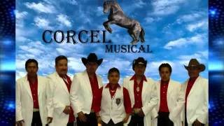 Agrupacion Corcel Musical - Ay Amor (Compositor) Enrique Lopez