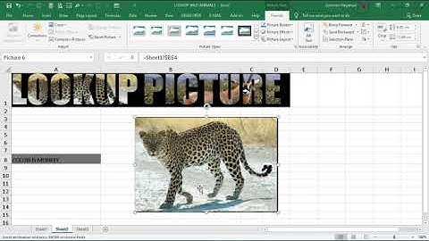 HOW TO LOOKUP A PICTURE USING INDEX AND MATCH IN EXCEL