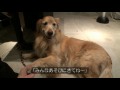 破壊宙CM DMBQ &amp; NATSUMEN!!!
