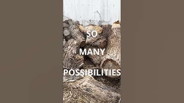 PILE OF POSSIBILITIES - FREE LOAD OF COTTONWOOD LOGS READY FOR THE CHAINSAW