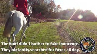 A day in the field with North London. by North London Hunt Saboteurs 559 views 5 months ago 1 minute, 39 seconds