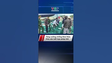 Tăng cường chống khai thác thủy sản bất hợp pháp IUU