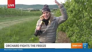'Fighting the Freeze at Heller Orchards' - Chelsea Strub & Corey Burns 2024 PAB Submission