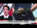 Еуропада 3,1 млн тонна картоп шықпай қалды
