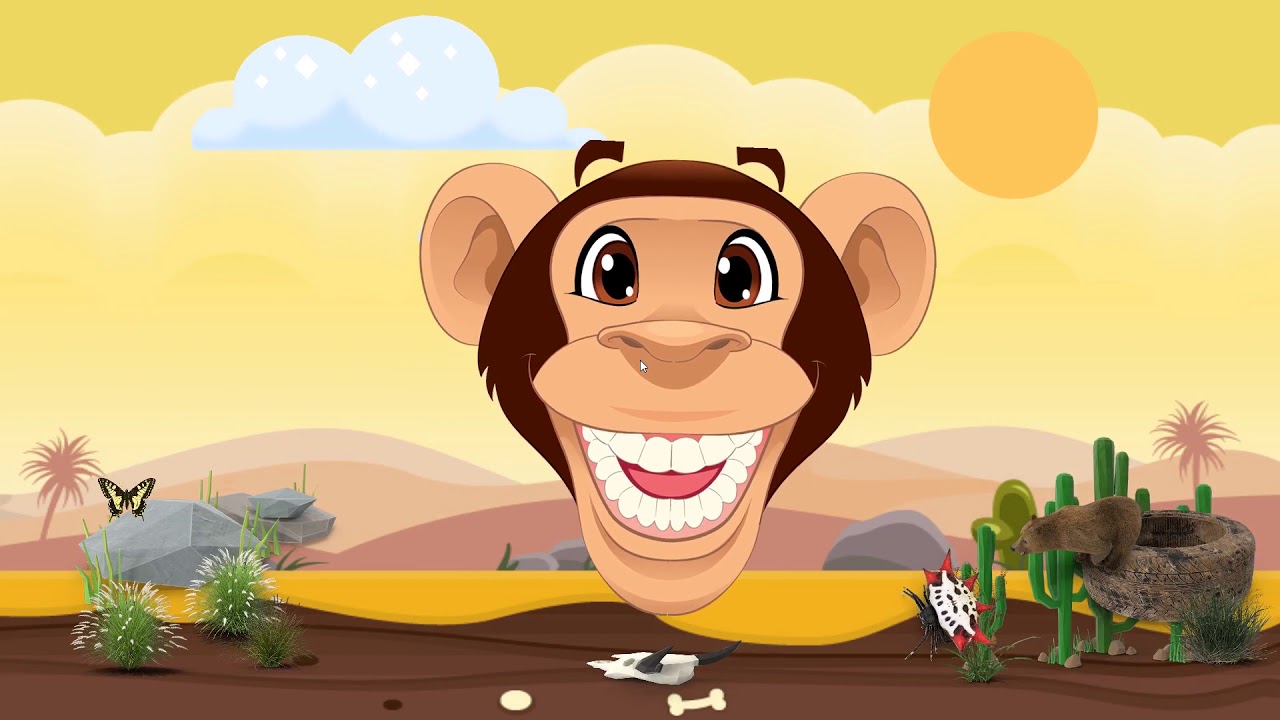 Sea Animals Names Zoo Animals Coloring Pages For Kindergarten 3d And 2d Youtube