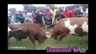 Vunulu kwane,,mba mushiele yakhutsa