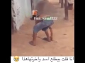 انا قلت بيطلع اسد واخرتها 