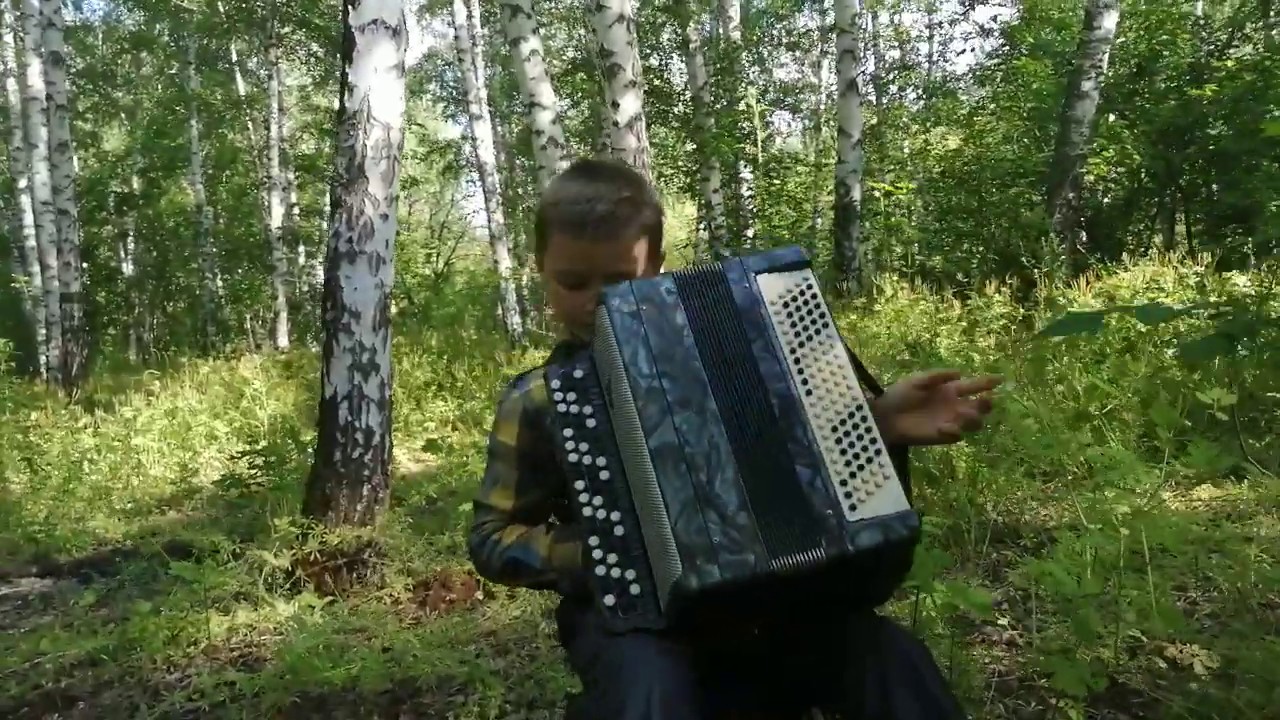 Лады на баяне Лады на баяне