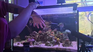 Soft Spoken Aquarium Ramble 🐠 Relaxing Fish Tank Chat screenshot 3