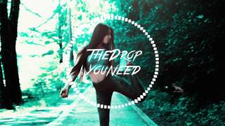 Lukas Rieger - Elevate | Drop only