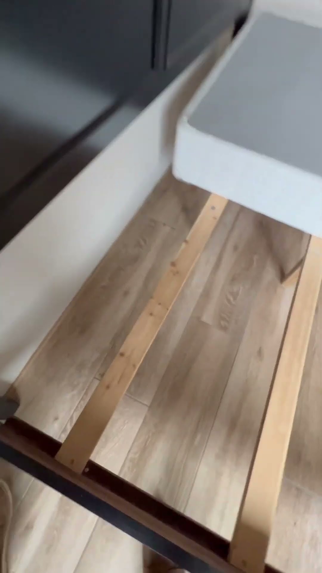 Video still: Are Scorpions Underneath Your Bed?