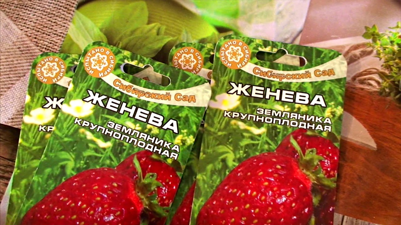 Сибирский Сад Официальный Сайт Магазин