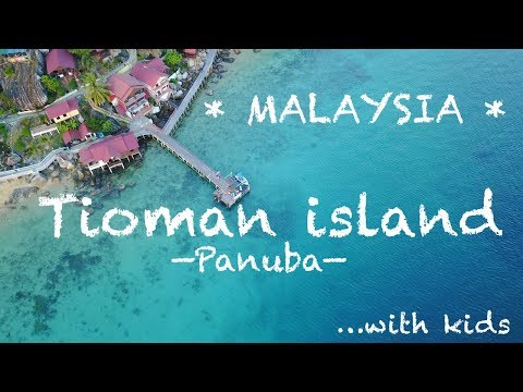 #26. We've found the best place to stay on Tioman Island!! | Malaysia 2017