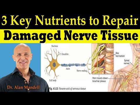 3-key-nutrients-to-repair-damaged-nerve-tissue-(pinched-nerve-&-neuropathy)---dr-alan-mandell,-dc
