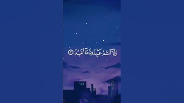 قل يا ايها الكافرون | شريف مصطفى | سوره الكافرون