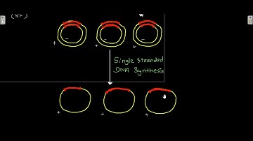M13 phage vector, Phagemid vector and PAC