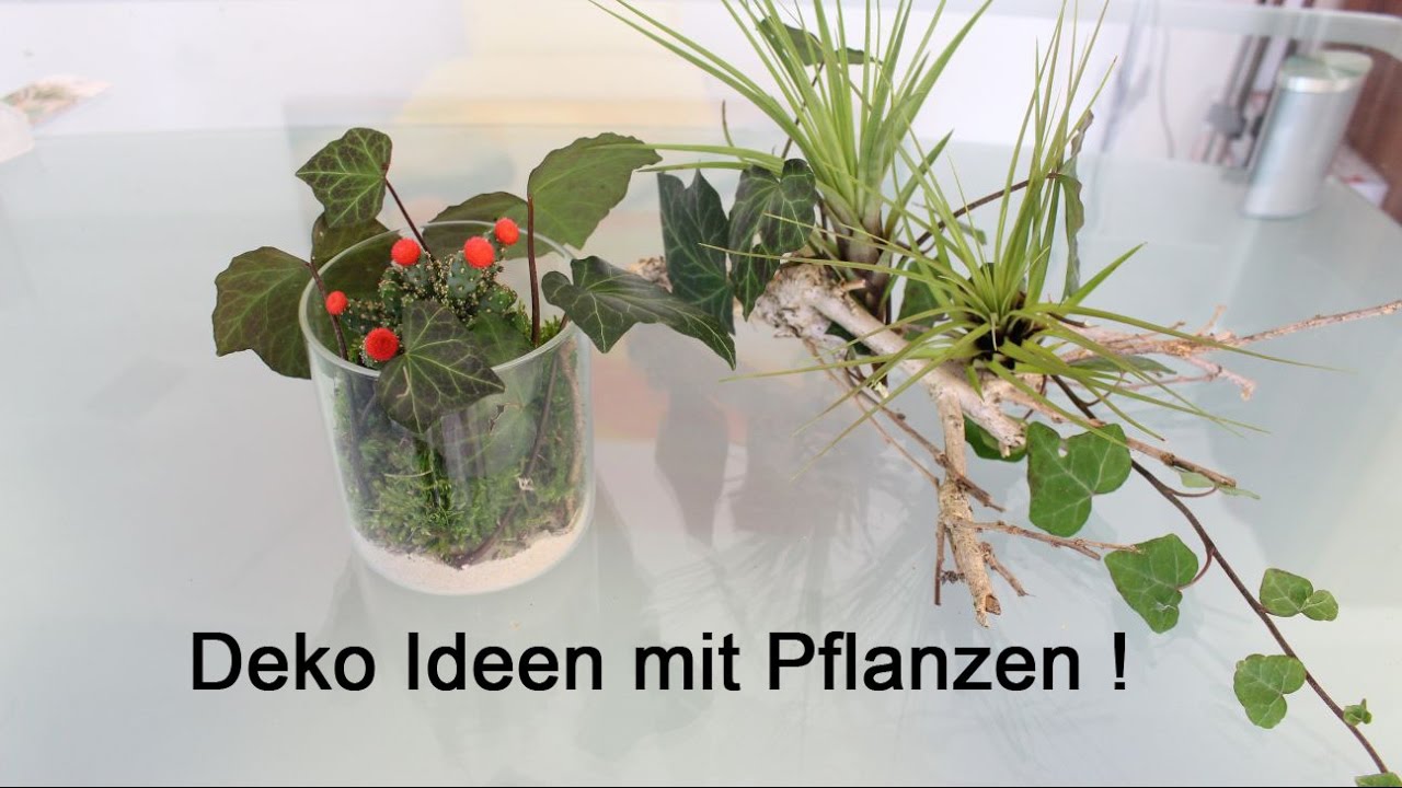 Deko-Ideen mit Pflanzen - Decoration ideas with plants - YouTube Deko-Ideen mit Pflanzen - Decoration ideas with plants - YouTube