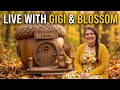 Live with Gigi and Blossom!