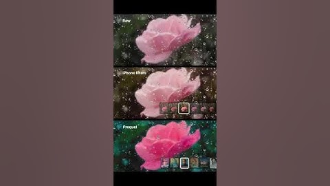 What is a good app for color grading?  #prequel #prequeledit