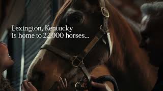 More Than 22 000 Horses in Lexington KY