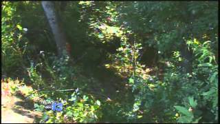Double Fatal Accident in Transylvania County
