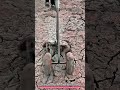 Wheel Hoe Furrow Maker Creates 15cm Deep Planting Rows 3X Faster for Precision Farming