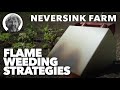 Flame Weeding Strategies