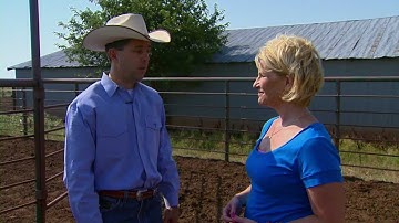 Cow Feeding Efficiency