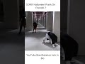 SCARY Halloween Prank On Friends! 7