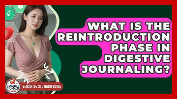 What Is The Reintroduction Phase In Digestive Journaling? - Sensitive Stomach Guide