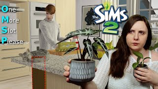 Famous OMSPs! How to decorate, add clutter and make your builds cat friendly 😻 in TS2 Net Worth