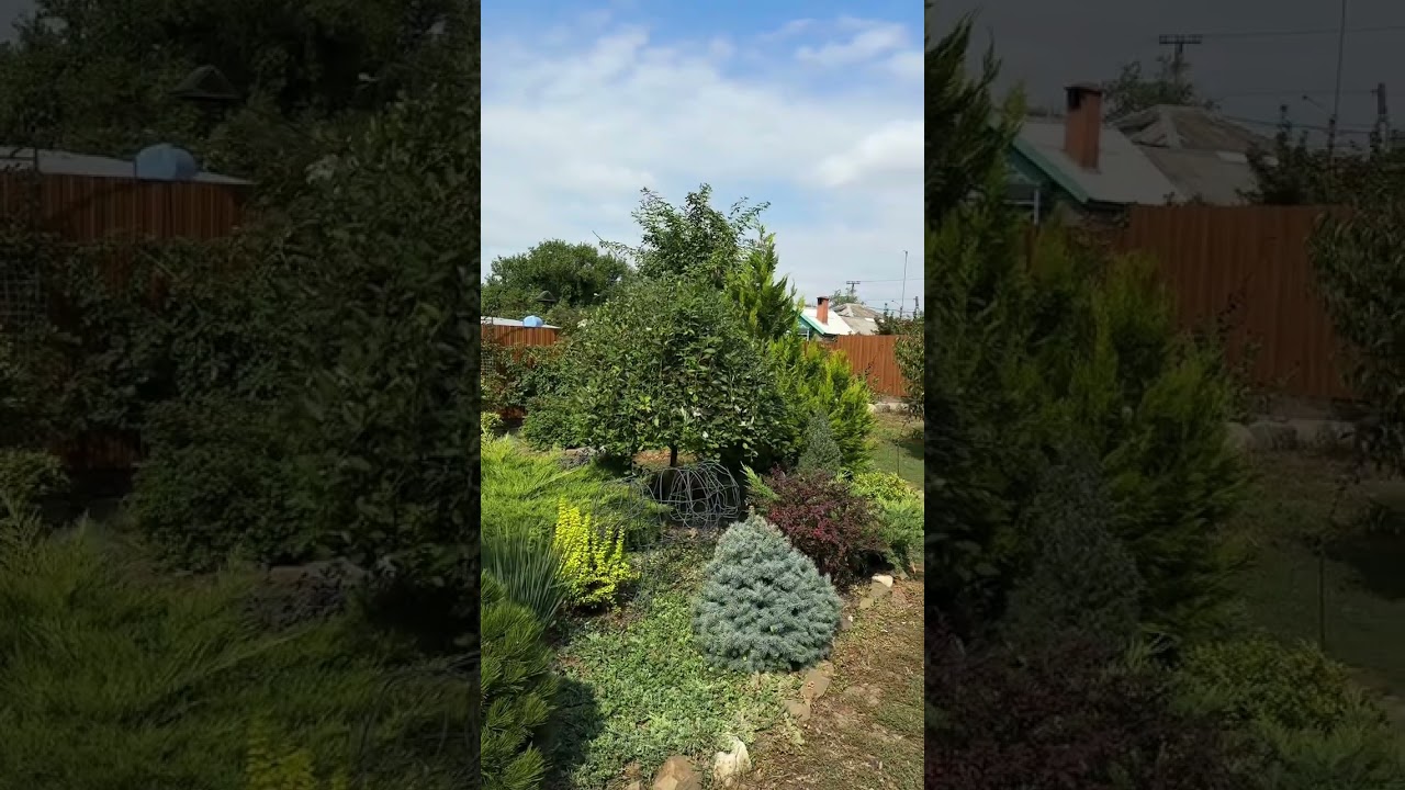 Итог стрижки Ивы Хакуро Нишики 