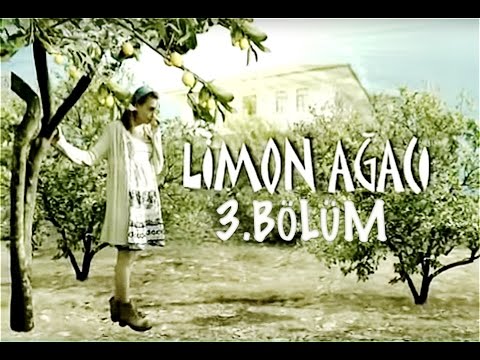 Limon Ağacı 3.Bölüm